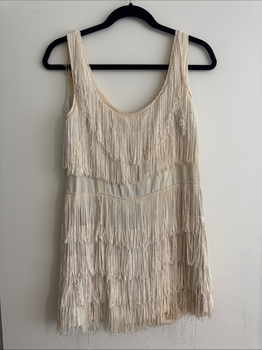 1920s flapper dress costume / Fringe Shift vintage Dress